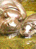 sumatra-original/08135017.JPG